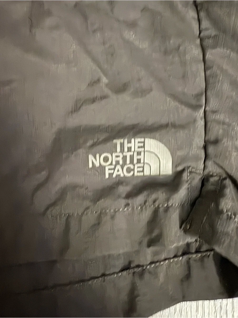 The North Face Men's Black Drawstring Shorts